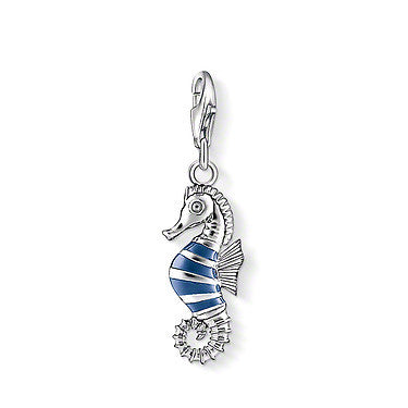 THOMAS SABO Charms - Ice Jewellery Australia